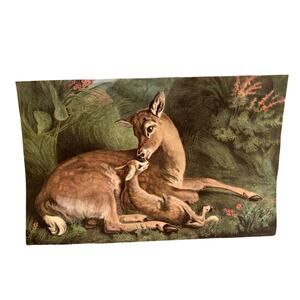 1963 Vintage The Travelers Calendar Doe with Baby Fawn Deer Art Print